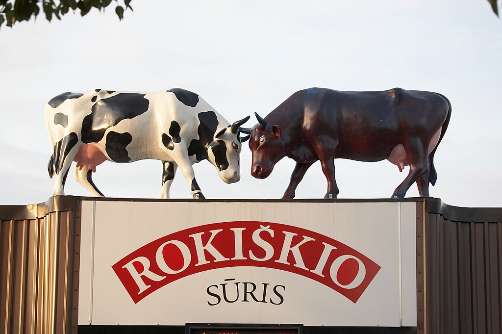 Rokiskio suris